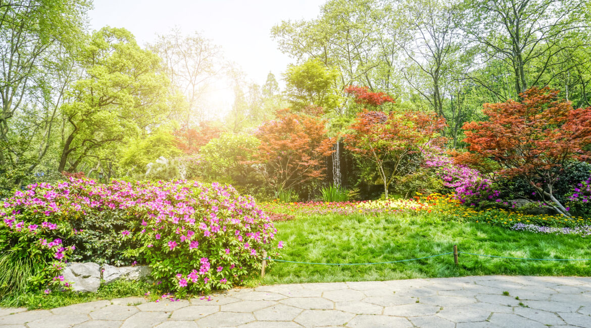 Top 5 Dicas para Cuidar do Seu Jardim Residencial