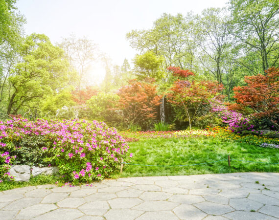 Top 5 Dicas para Cuidar do Seu Jardim Residencial