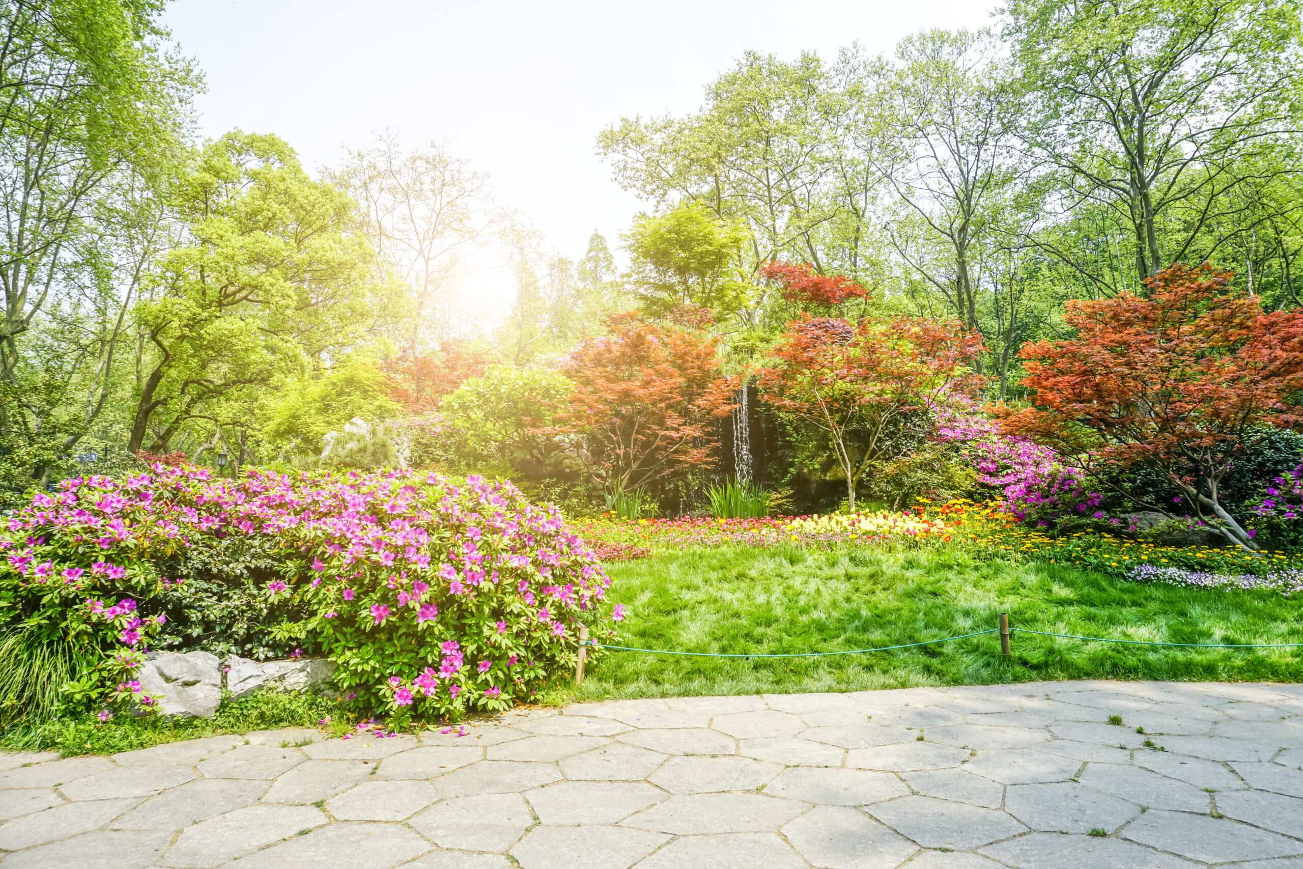 Top 5 Dicas para Cuidar do Seu Jardim Residencial