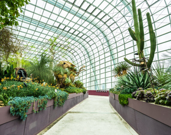 Como Escolher as Plantas Ideais para Valorizar o Paisagismo da Sua Propriedade